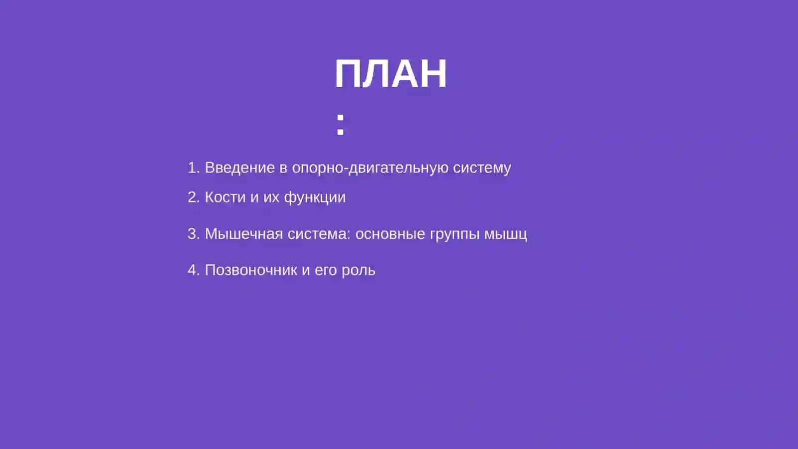 Опорно-двигательная система 2