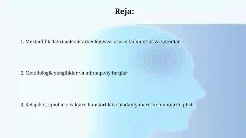 Mustaqilik davri Davridagi Paleolit Arxeologiyasi 2