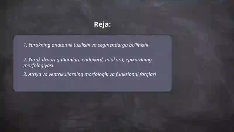 Yurakning morfofunksional tasnifi 2