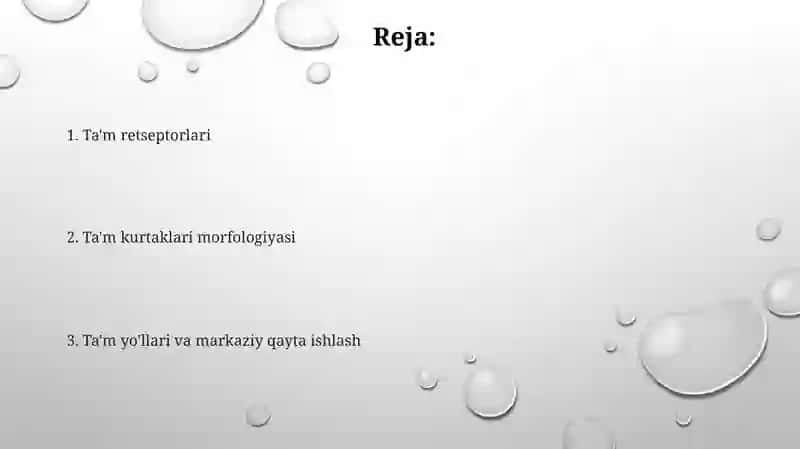 Ta'm bilish aʼzolarining morfofunksial tasnifi 2