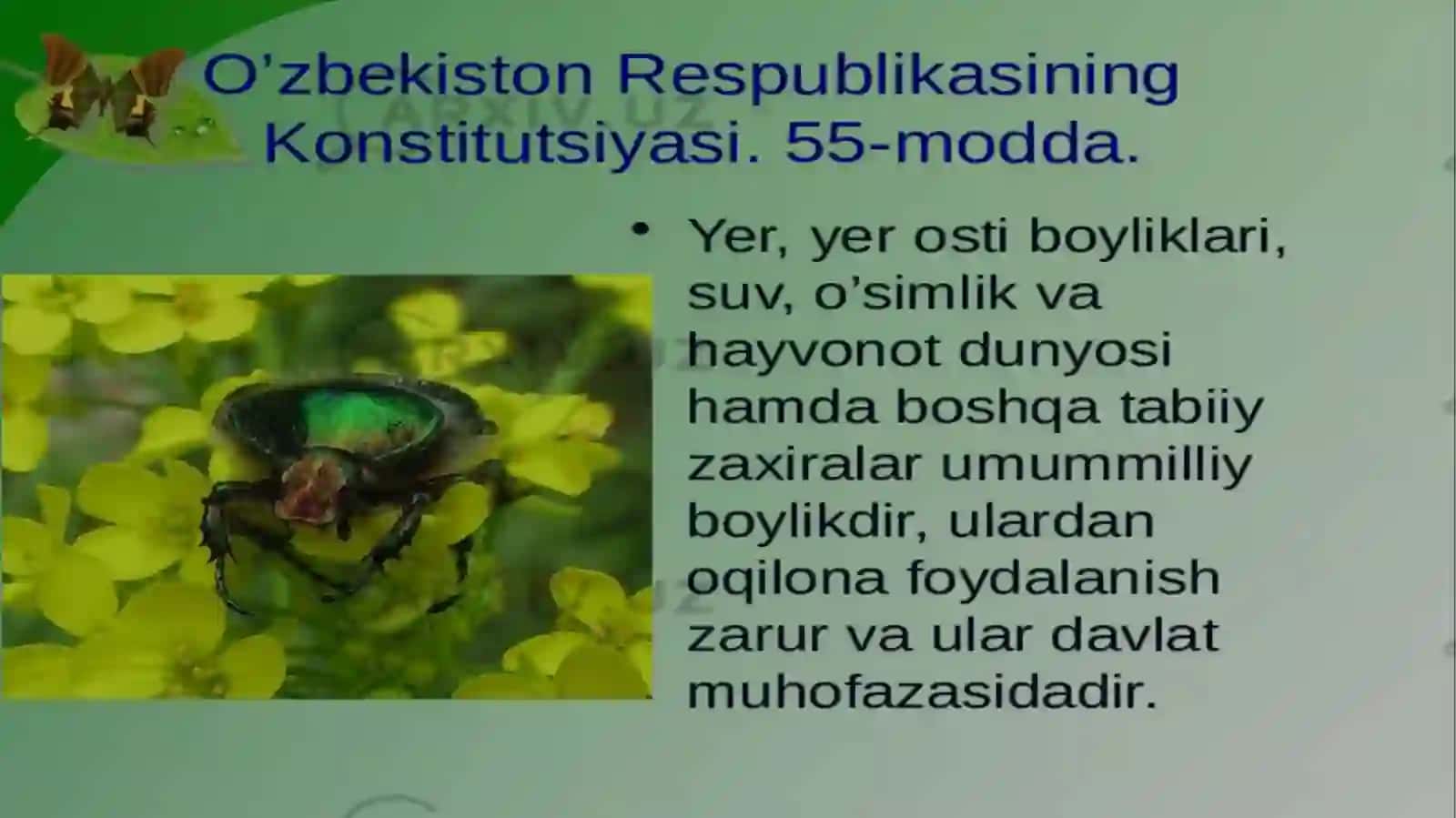 O'simlik 2