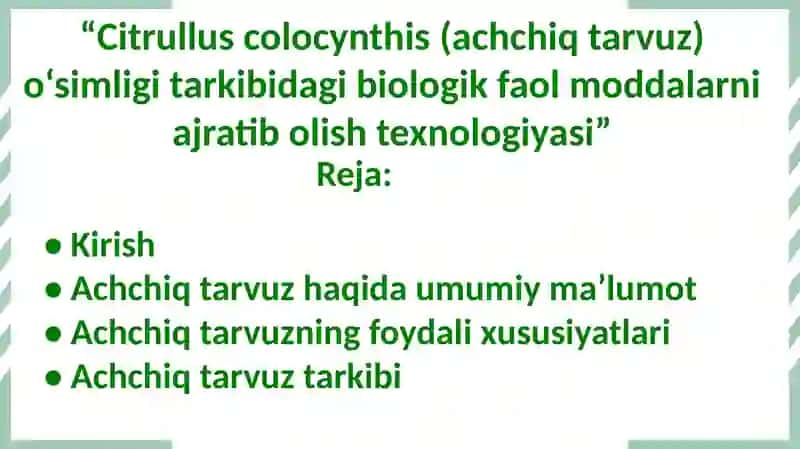 Citrullus colocynthis (Achchiq tarvuz) o'simligi 2