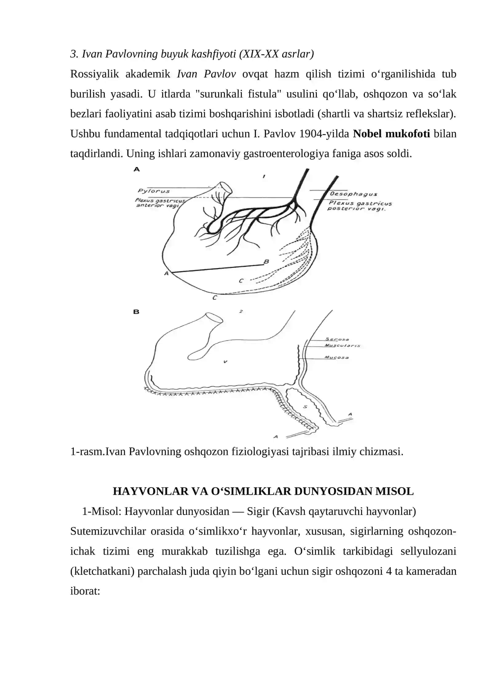 Ovqat Hazm Qilish Sistemasi 2