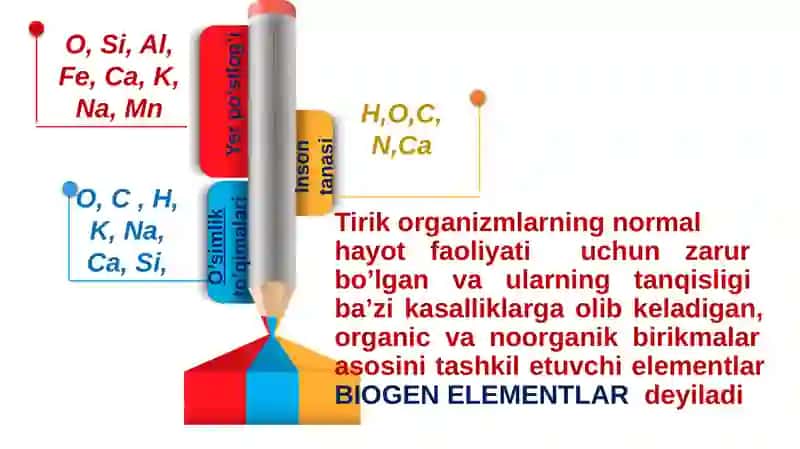 Biogen elementlar 2