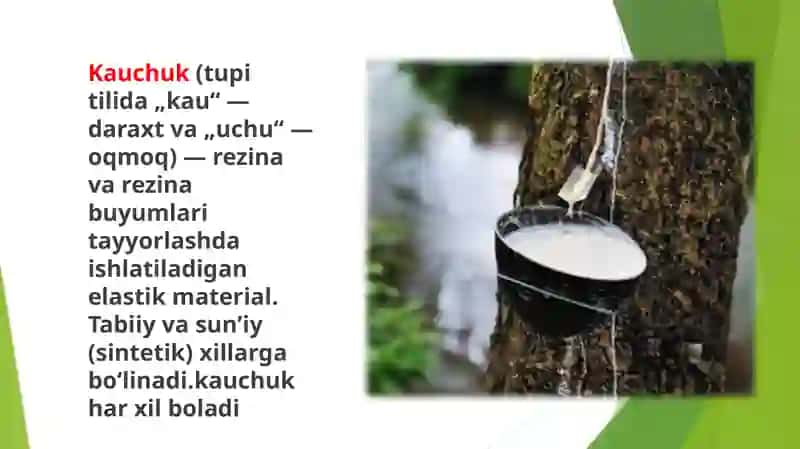 Kauchuk va rezina 2