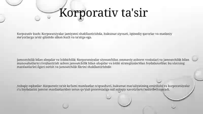 Korporatsiya Haqida Xulosa 2