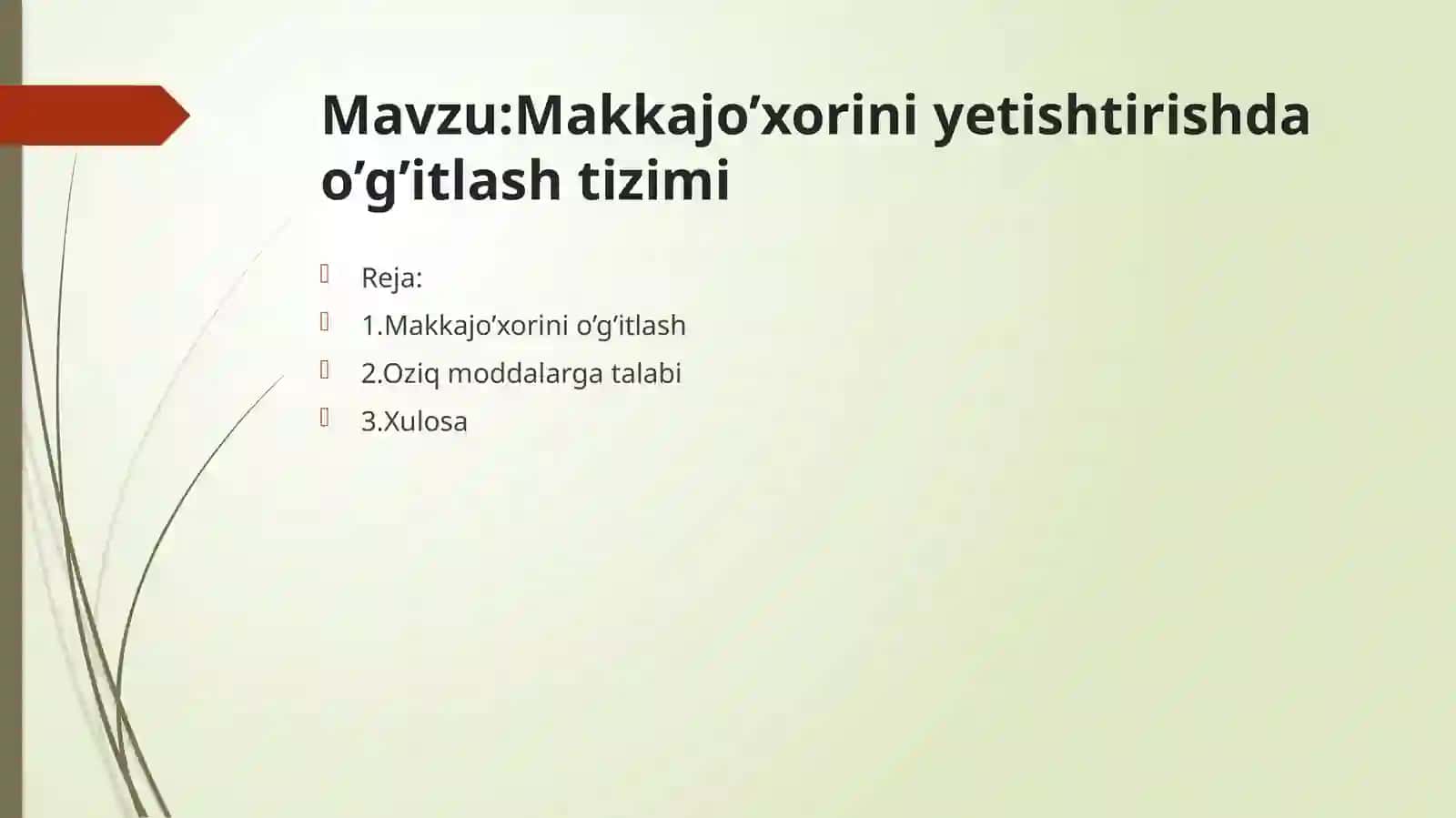 Makkajo’xoriniyetishtirish dao’g’itlashtizimi 2