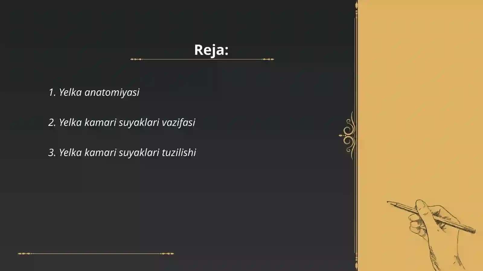 Yelka kamari suyaklari 2