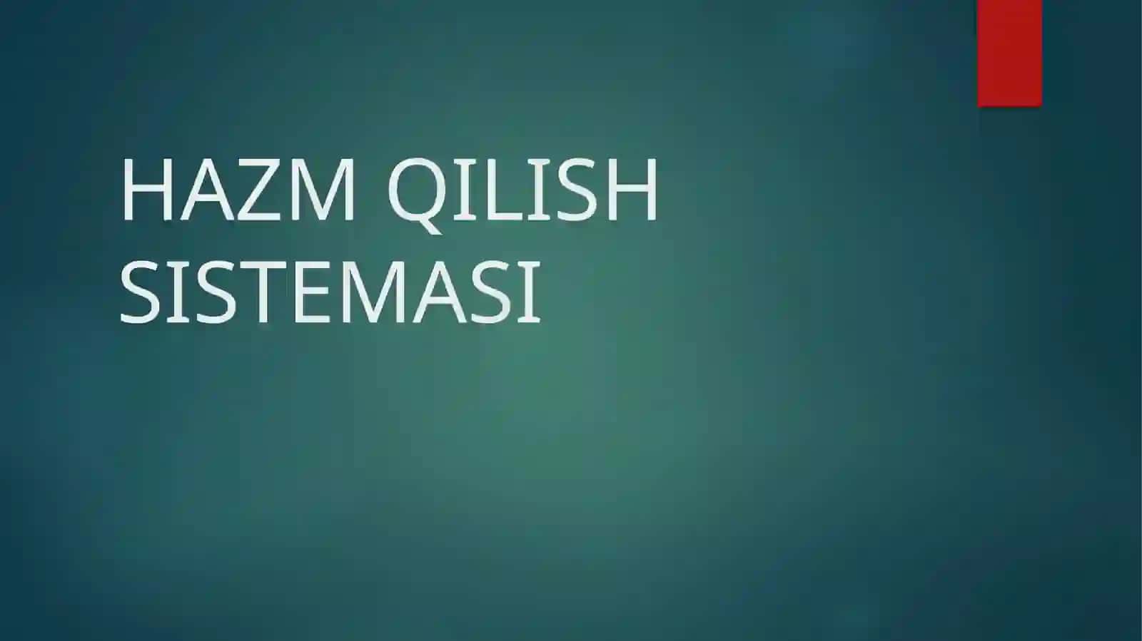 Hazm qilish sistema 2