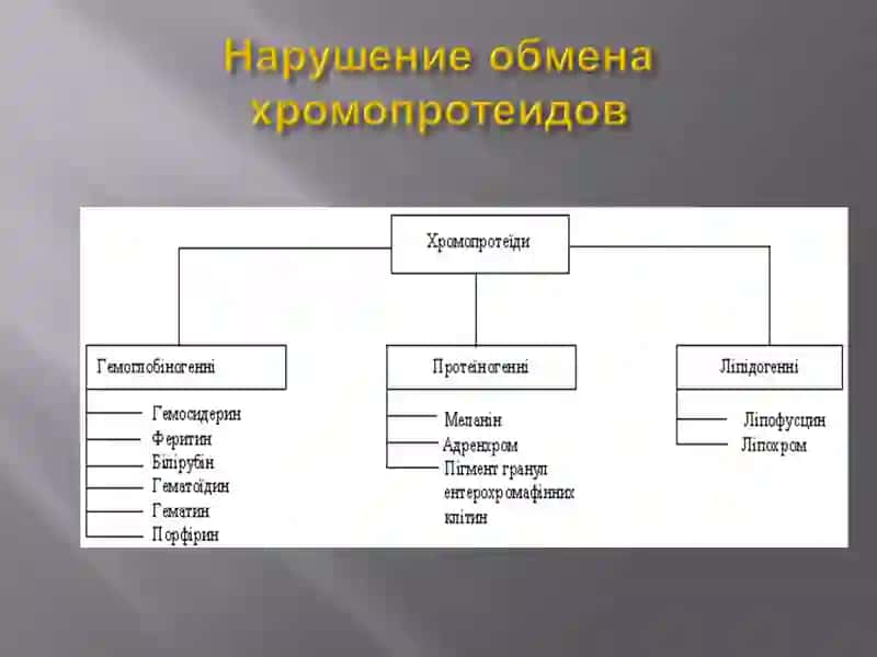 Нарушение обмена гемоглобиногенных пигментов 2