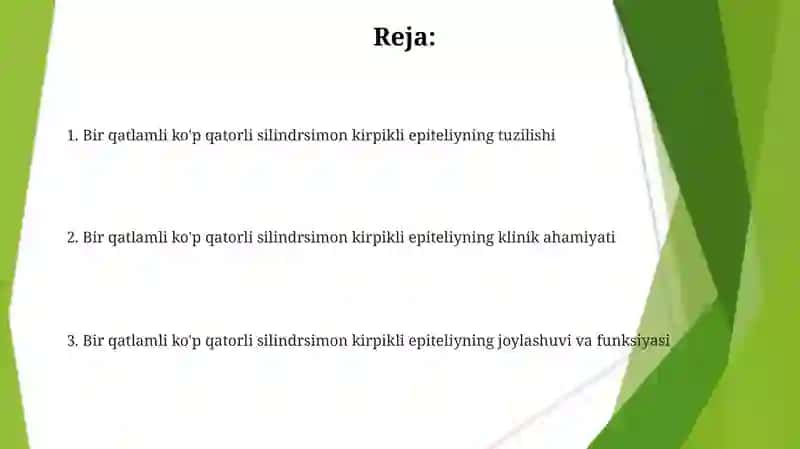 Bir qavatli ko‘p qatorli silindrsimon kiprikli epiteliy 2