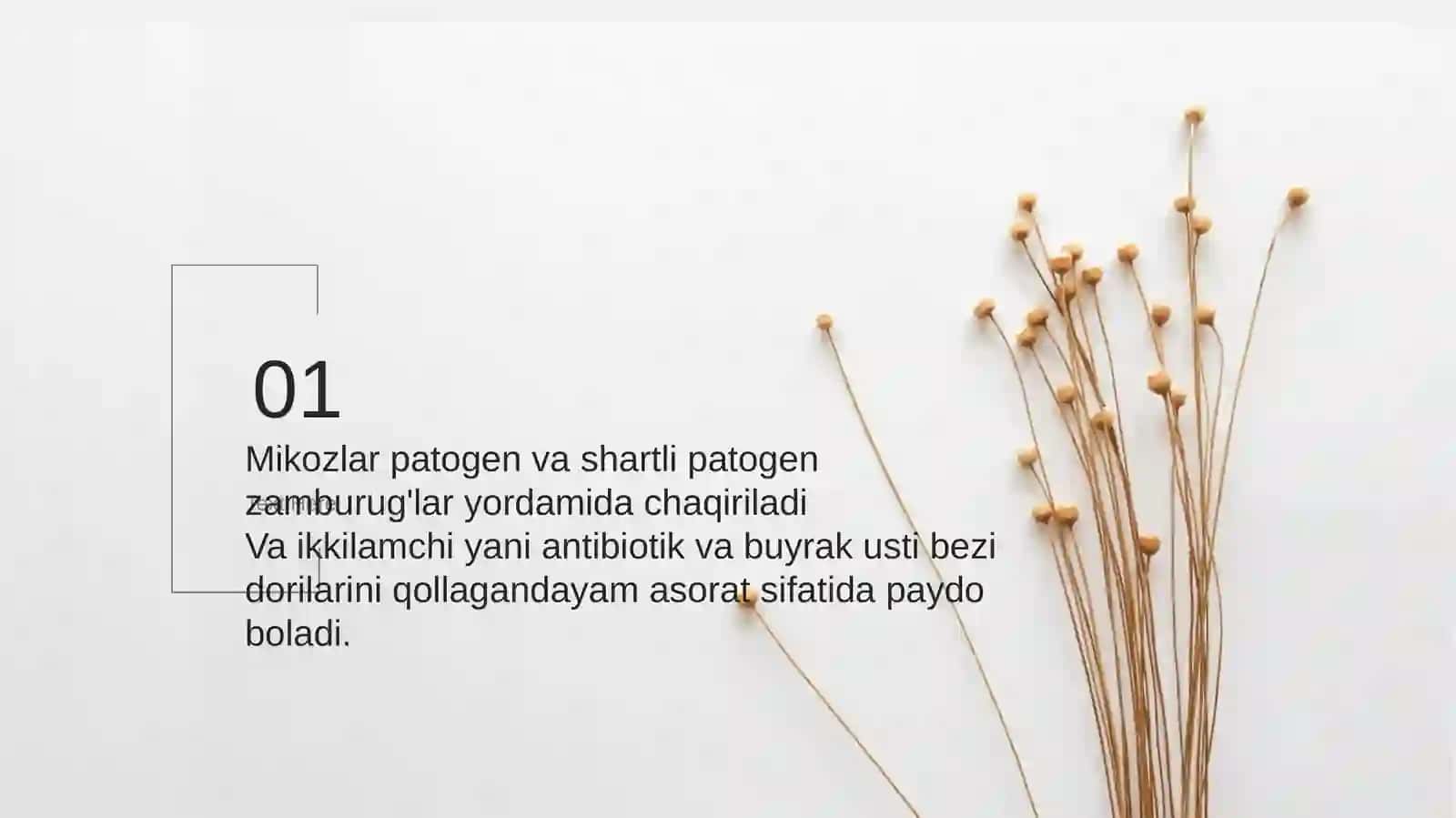 Zamburug'larga qarshi dorivorlari 2