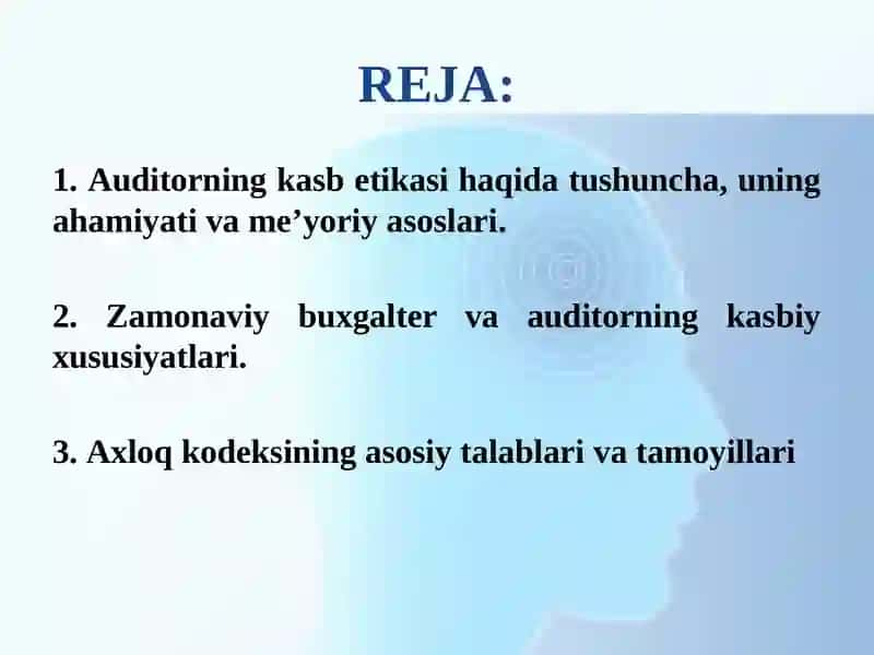 AUDITORNINGKASBETIKASI 2