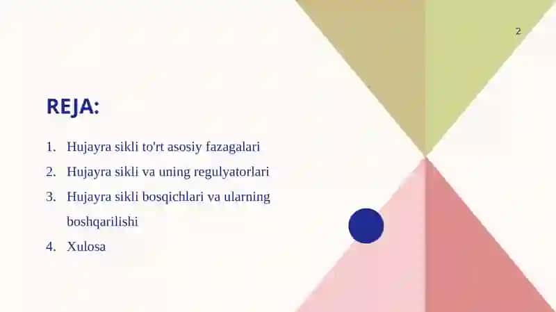 Hujayrabo'linishsikli 2