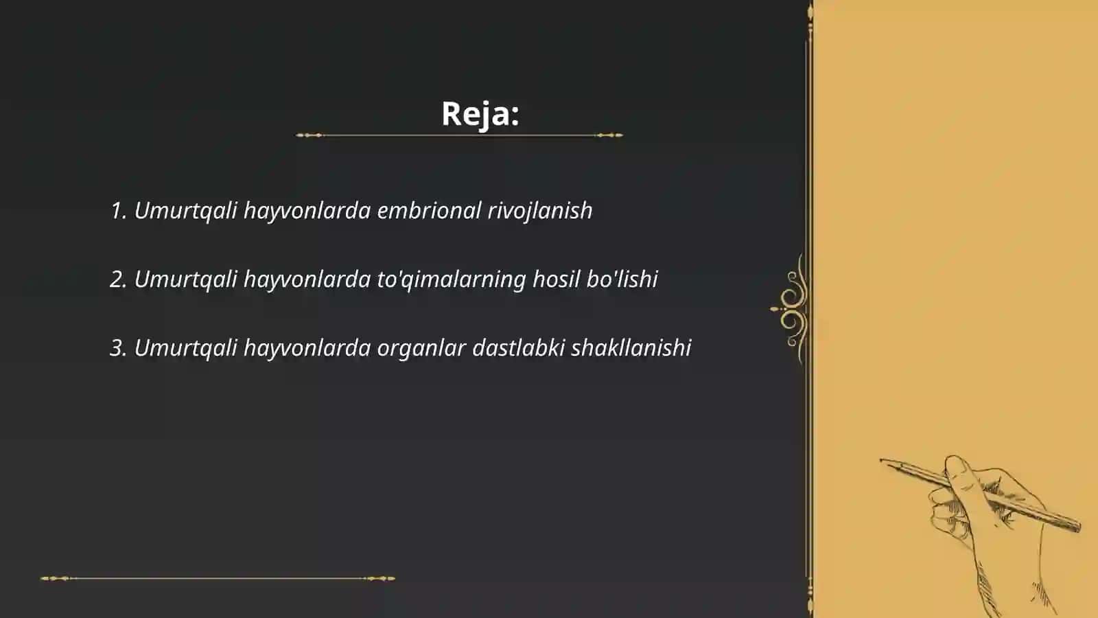 Umurtqali hayvonlarda organogenez 2