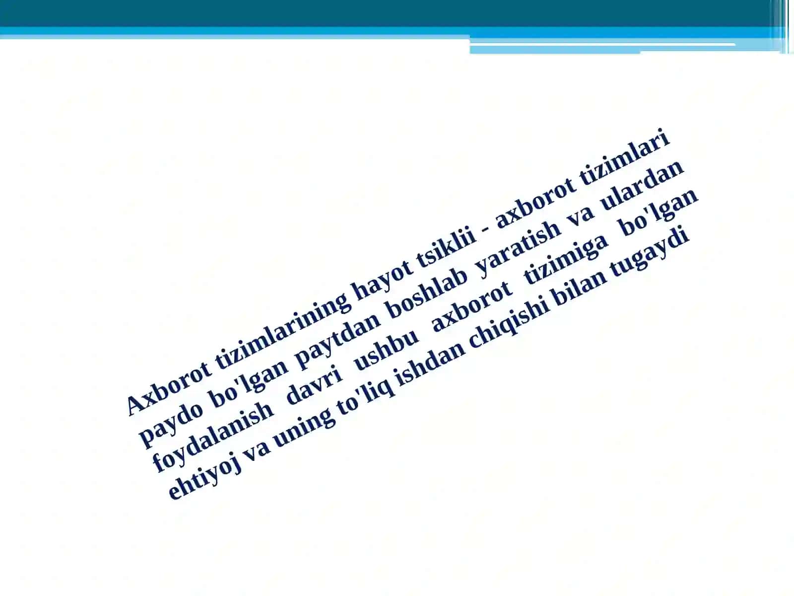 Axborot  tizimlarining  hayot  tsiklini     boshqarish 2