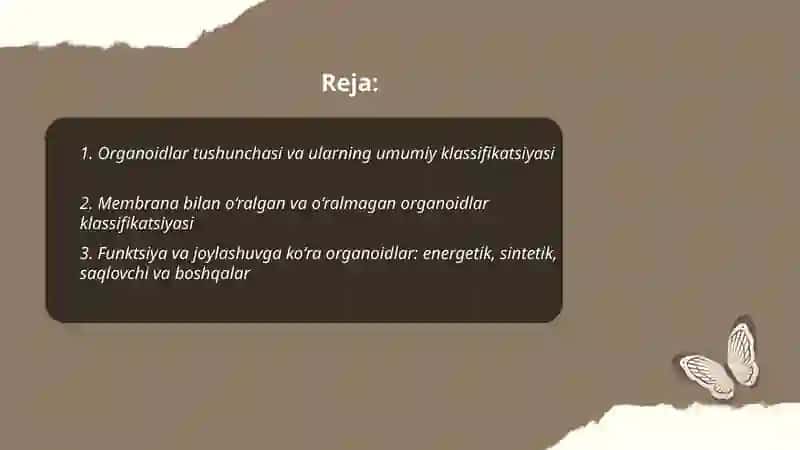 Organoidlarining klassifikatsiyasi 2