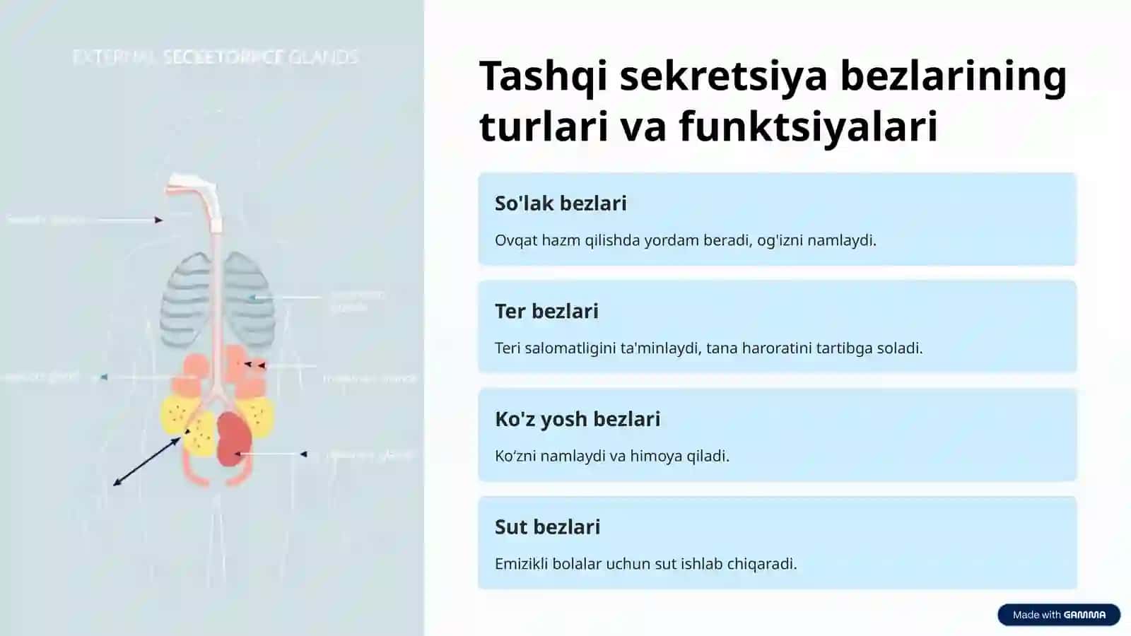 Tashqi sekretsiya bezlari: Kirish 2