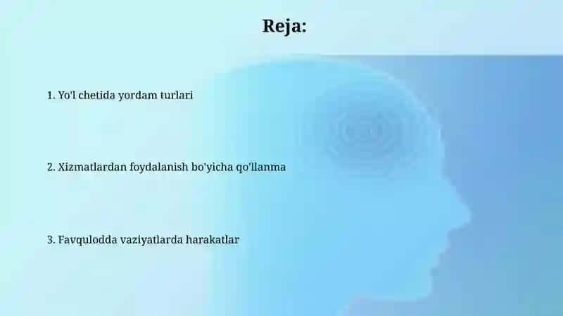 Avtomobil yòllardagi harakatga xizmat kòrsatish 2
