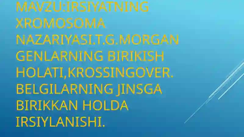 Irsiyatning xromosoma nazariyasi 2