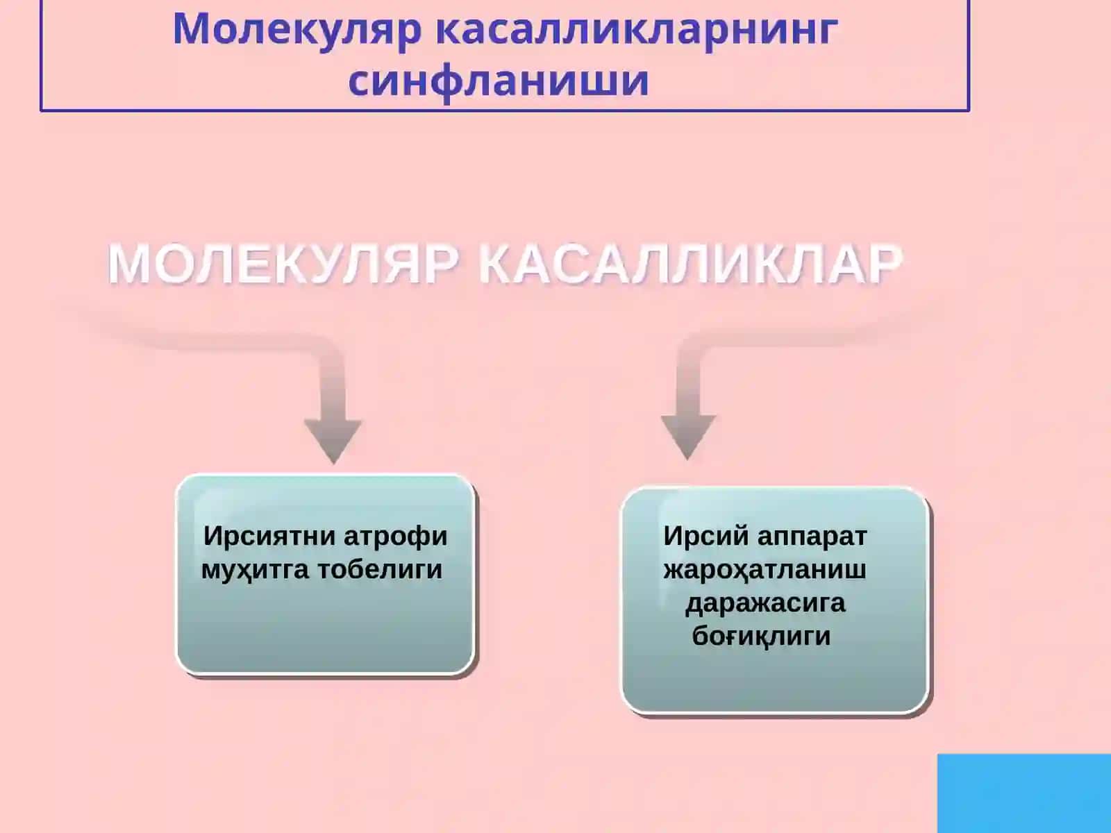 Молекуляр касалликлар 2