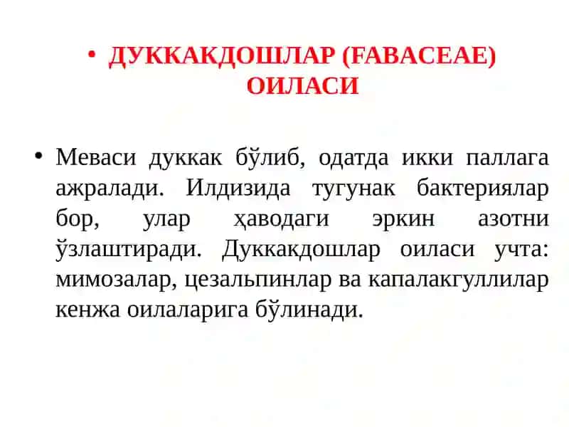 Дуккакдошлар оиласи 2