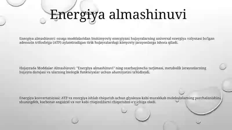 Hujayrada Moddalar Almashinuvi 2