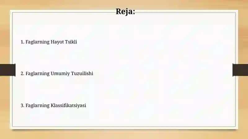 Bakteriyofaglar 2