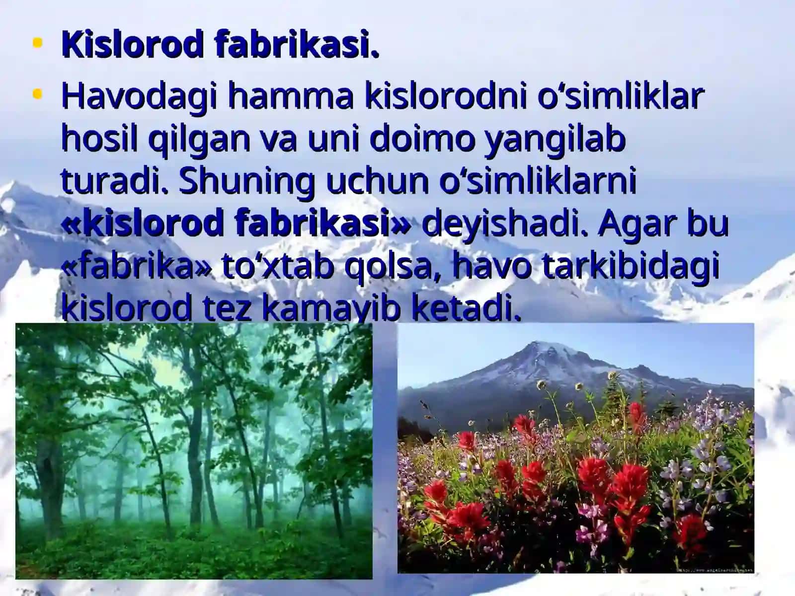 Organizmlarning yer qobiqlariga ta'siri 2