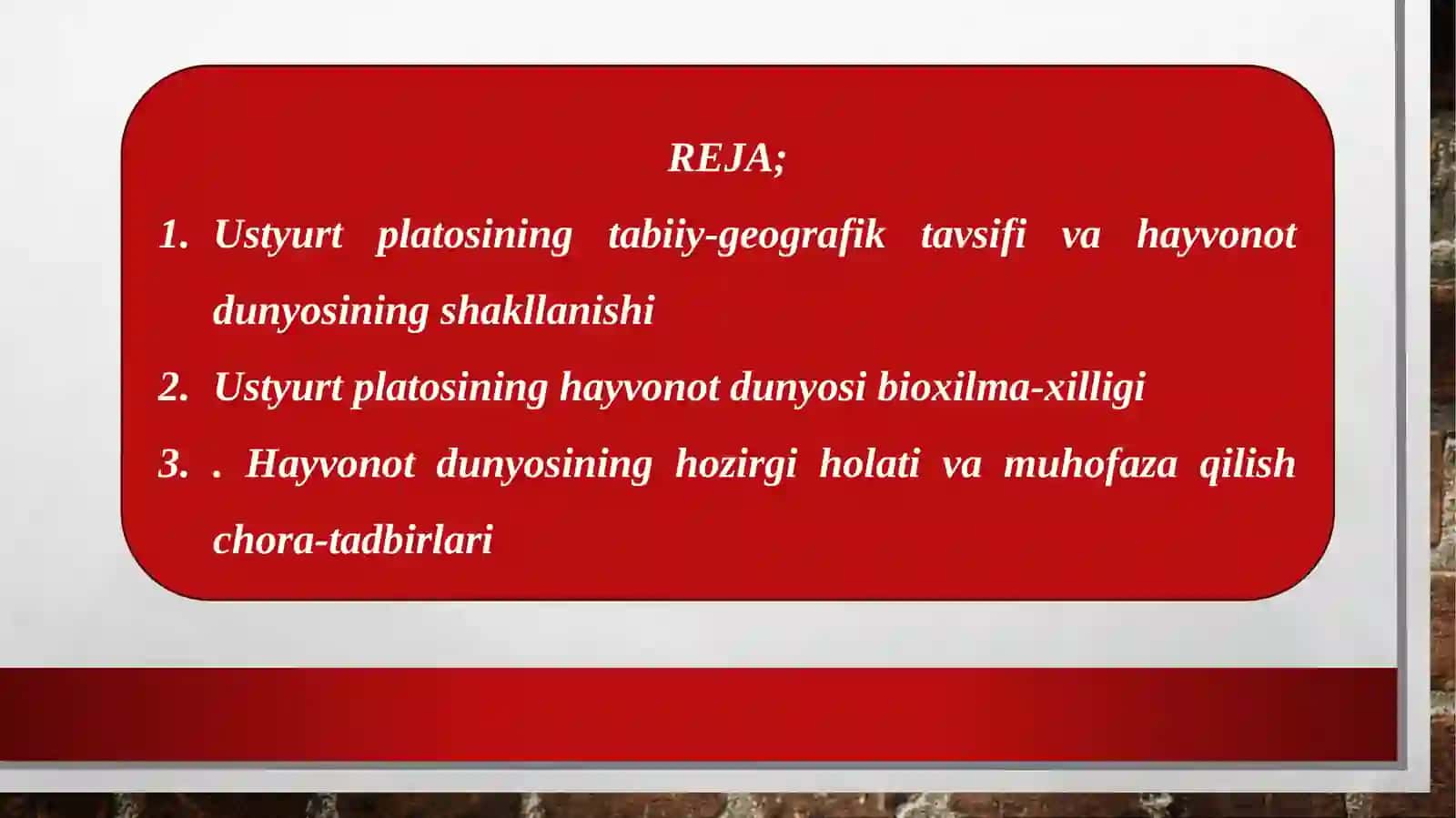 Ustyurtplatosi hayvonot dunyosi 2