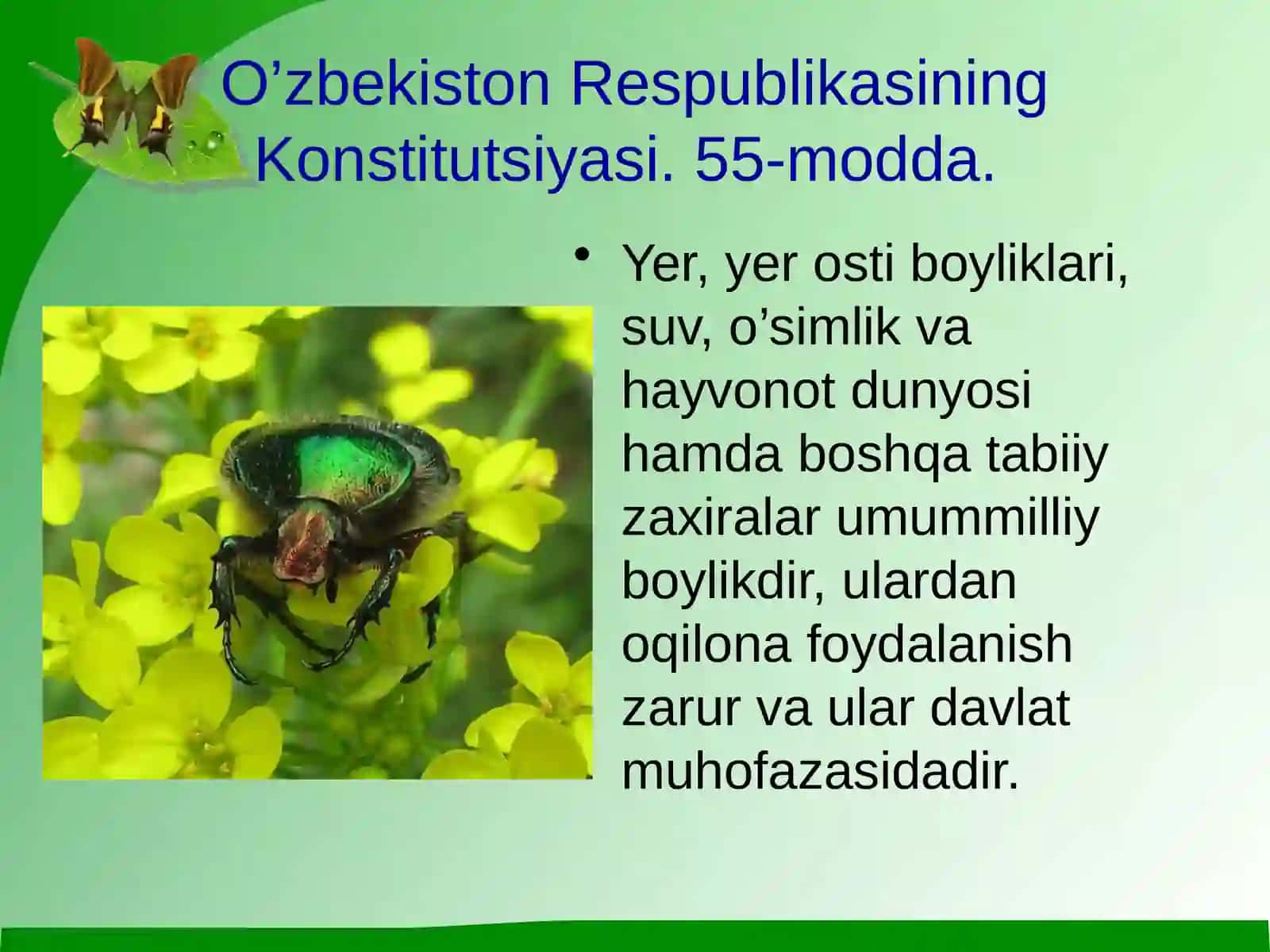 O'simliklar dunyosini muhofaza qilish 2