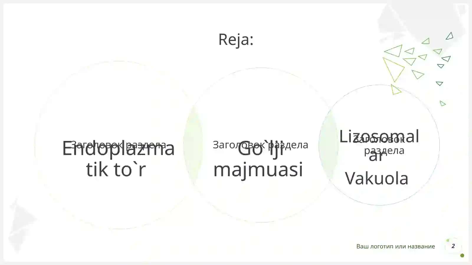 Bir membranali organoidlar 2