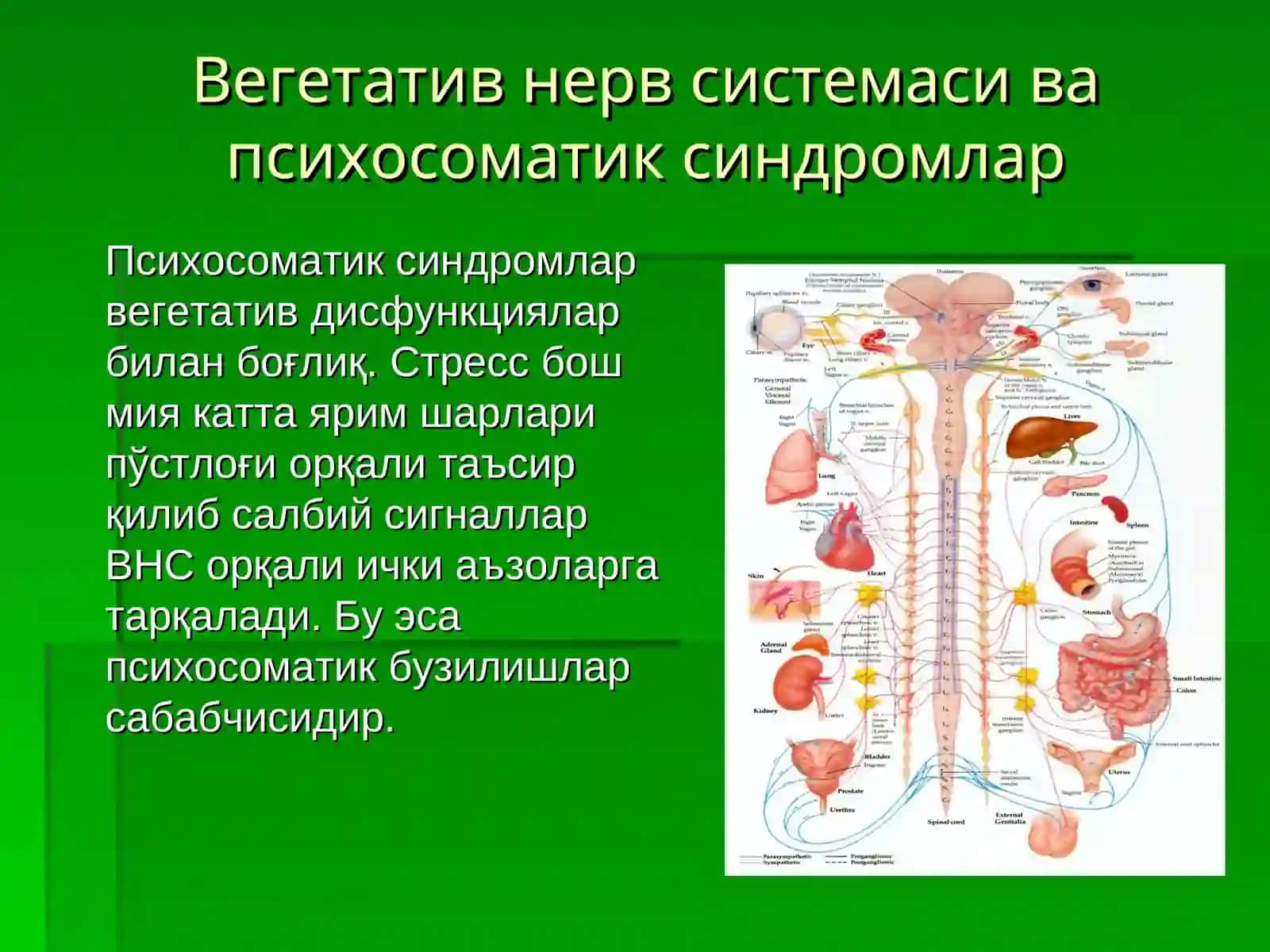 Психосоматик Синдромлар 2