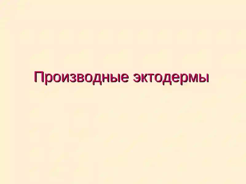Органогенез 2