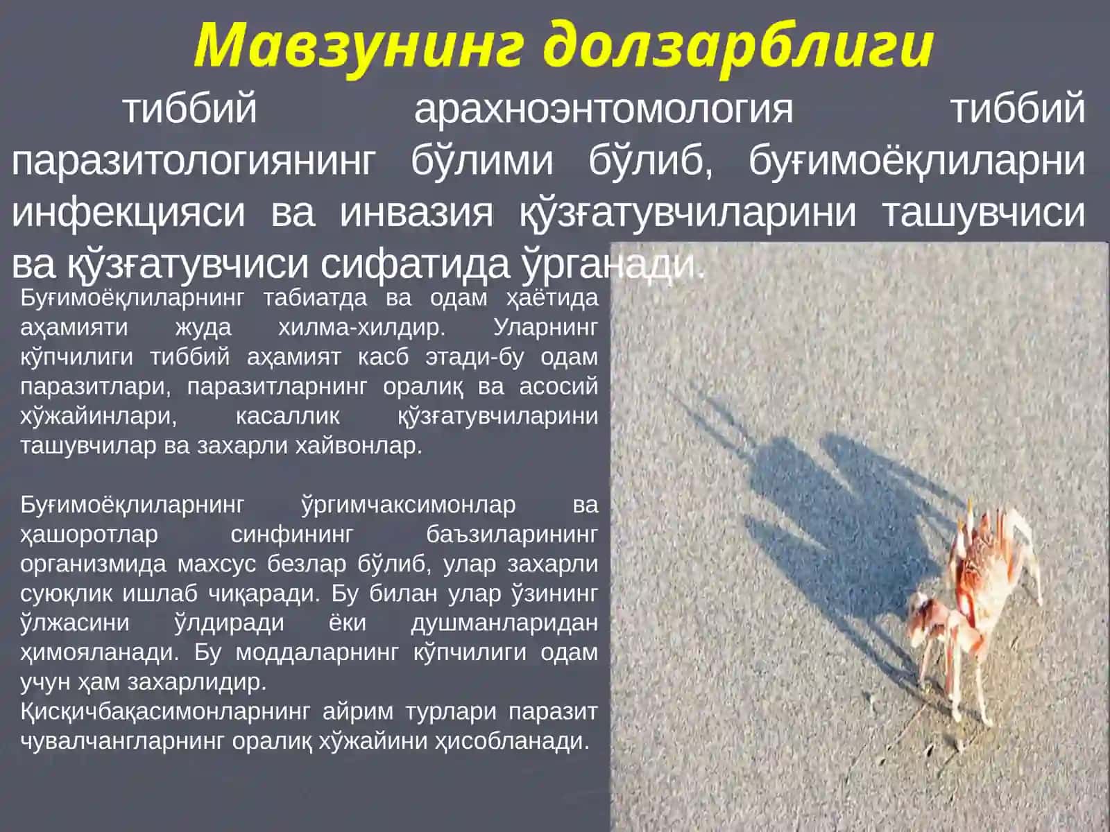 Тиббий Арахноэнтомология 2