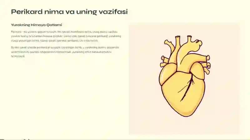 Perikard kasalliklari. Yurak o‘smalari. Yurak transplantatsiyasi 2