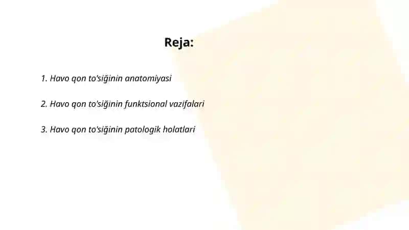 Havo qon to'siğining anatomiyasi 2