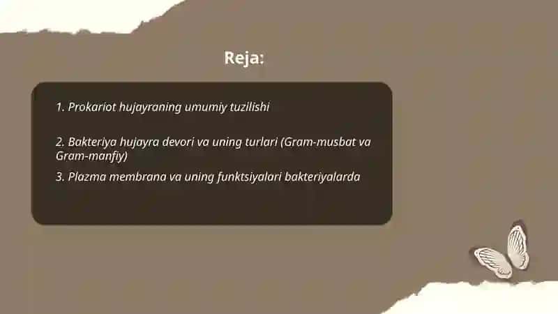 Prokariot hujayralari.Bakteriyalar 2