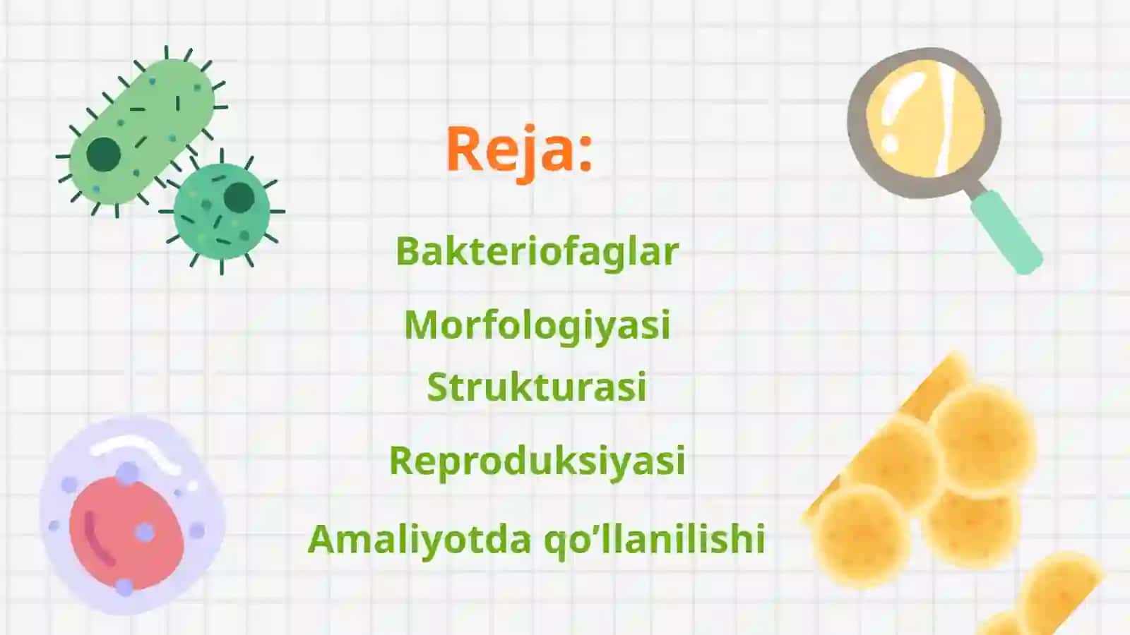 Bakteriofaglar morfologiyasi, strukturasi, reproduksiyasi va amaliyotda qo’llanilishi 2