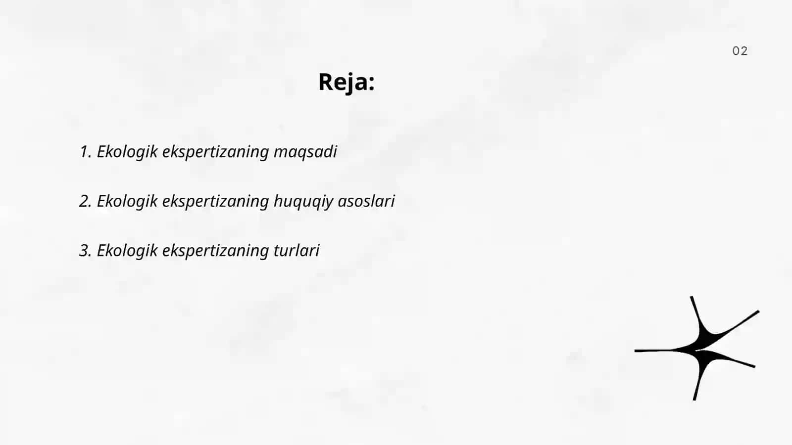 Ekologik ekspertiza 2