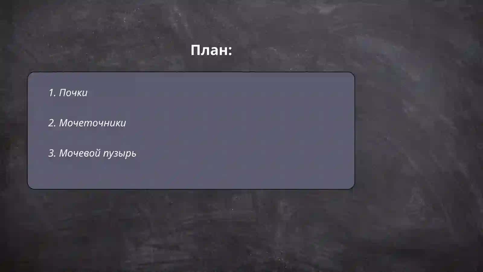Основные органы выделительной сестемы Тошимов Самандар 2