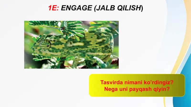 5E modul "Yashash muhitiga moslanish" taqdimoti 2