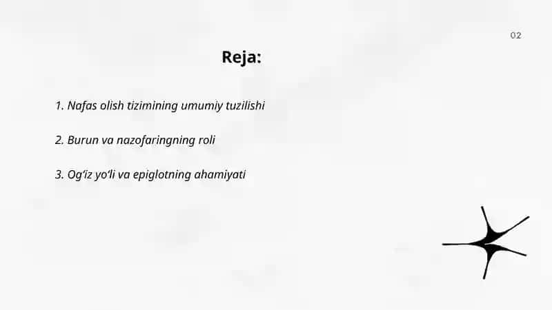 Nafas olish tizimi 2