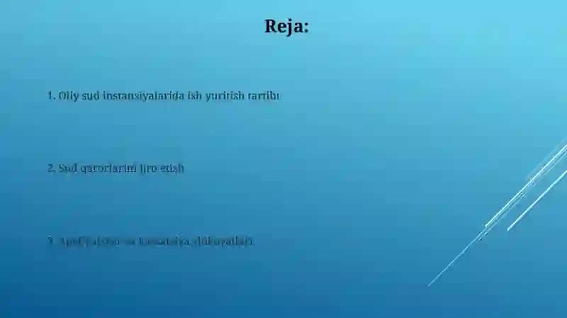 Yuqori sud instansiyalarida ish yuritish 2