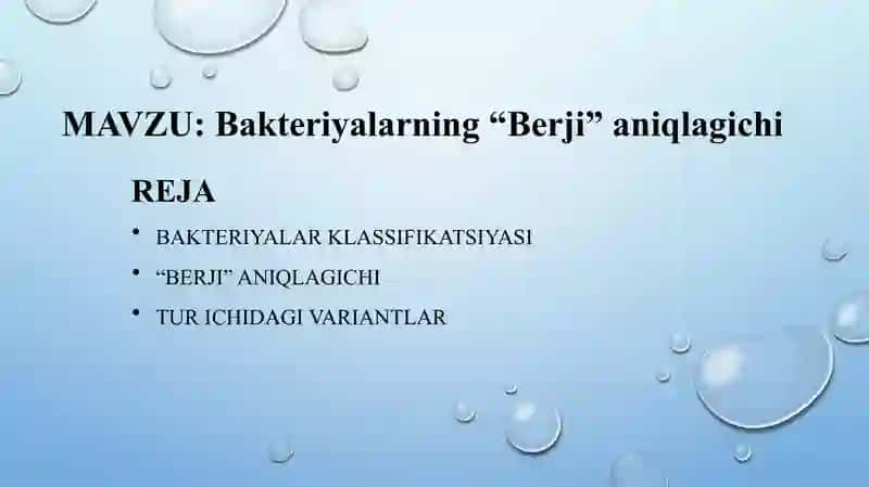 Bakteriyalar klassifikatsiyasi, toksonomiyasi 2