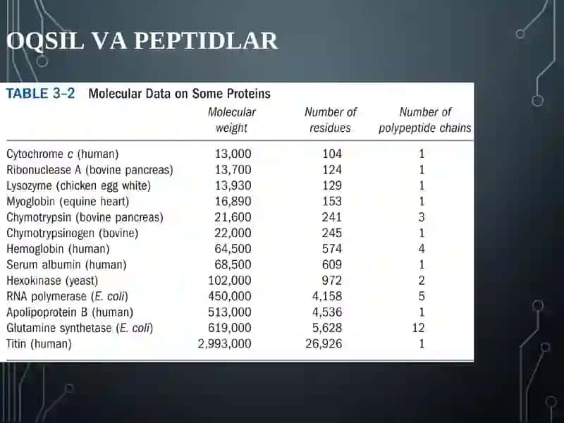 Oqsillar va peptidlar 2