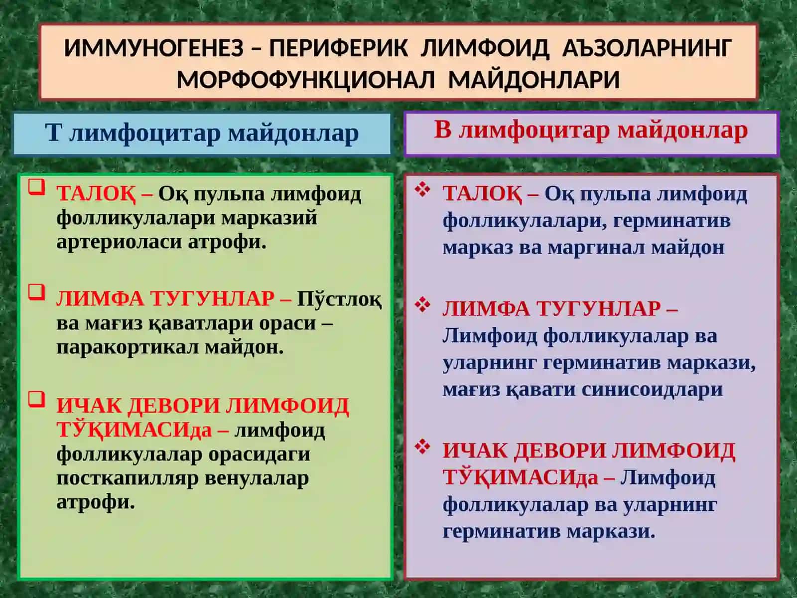 ИММУНОГЕНЕЗНИНГ СХЕМАТИК ТАСВИРИ 2