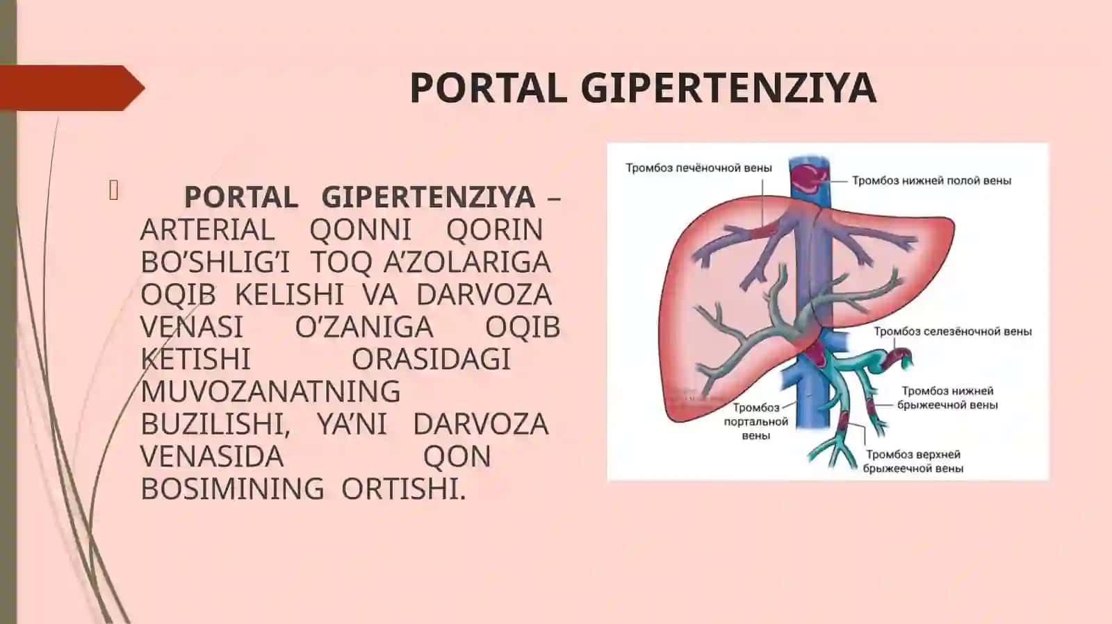 JIGARDAN TASHQARI PORTAL GIPERTENZIYA 2