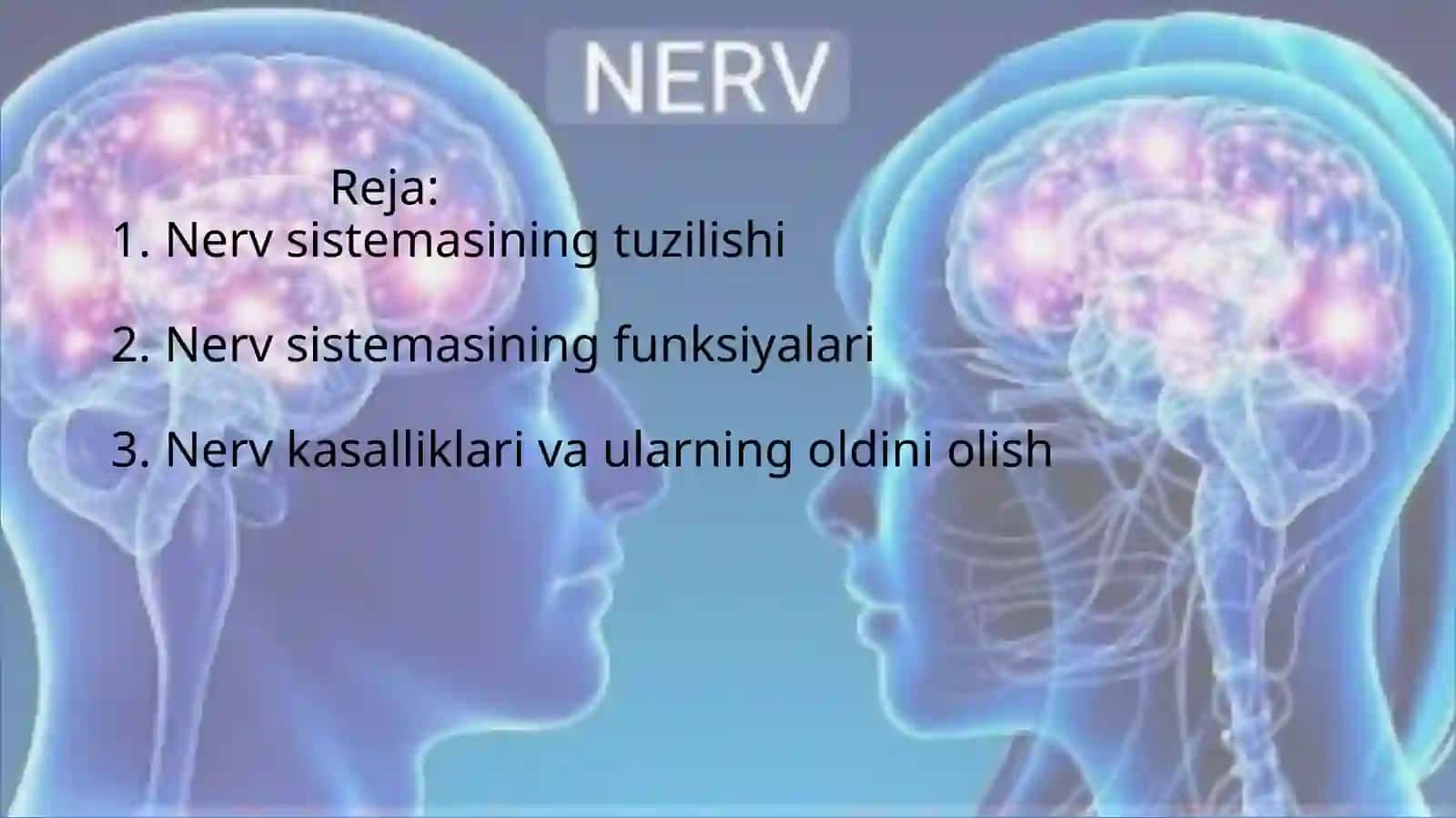 Nervsistemasi 2