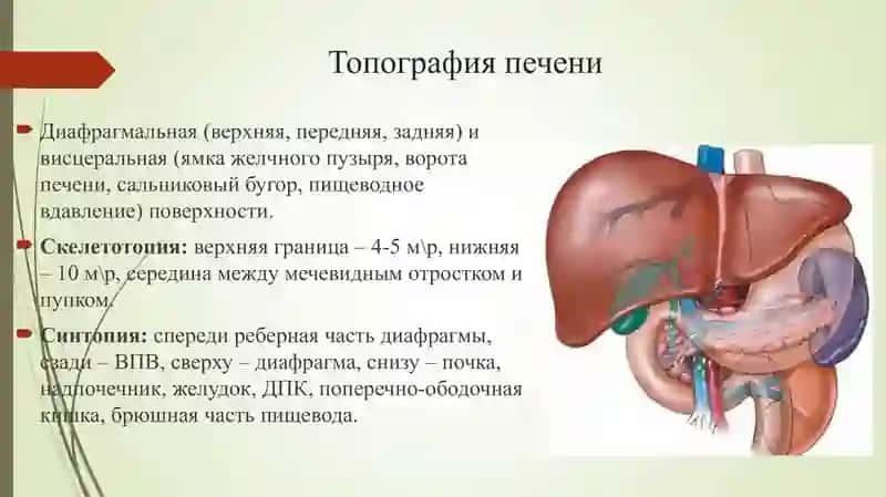 Резекции печени 2